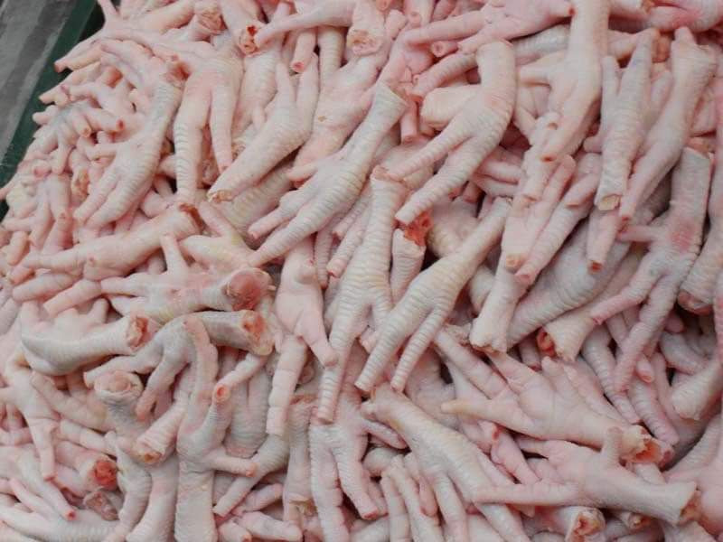 Premium Quality Frozen Chicken Feet , Frozen Chicken Paw