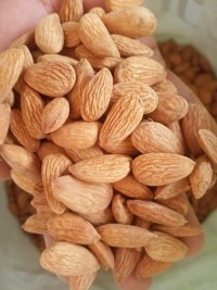 High Quality Almond Nuts