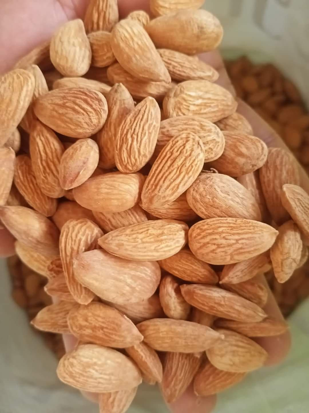 Wholesale California Almond Kernels