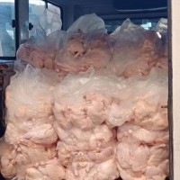 Frozen Whole Chicken Halal