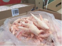 High Quality Frozen Chicken Paw