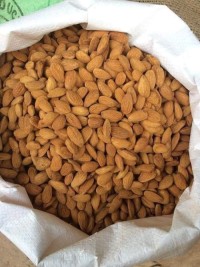 High Quality Almond Nuts