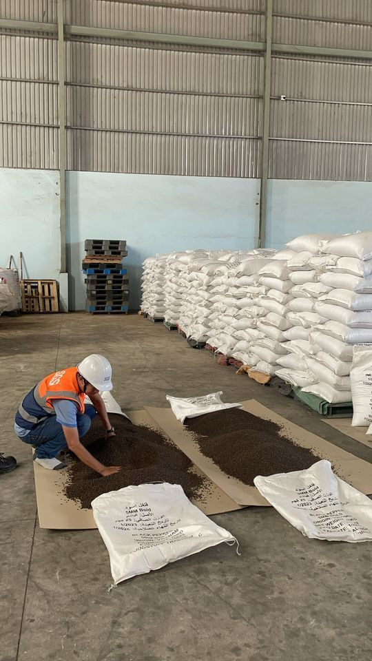 100% Premium Quality Black Pepper Grade A