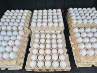 Fresh White Table Chicken Egg