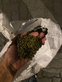 Premium Green Mung Beans